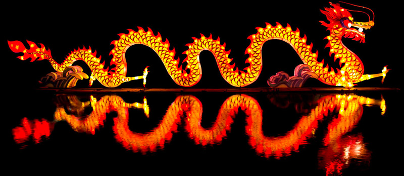 Dragon illuminé sur l'eau